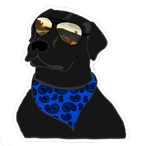 Blue Ridge Ridin Black Lab Sticker