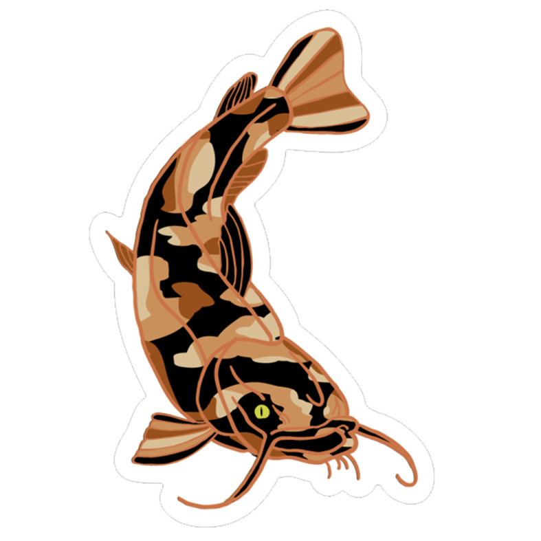 Calico Catfish Sticker
