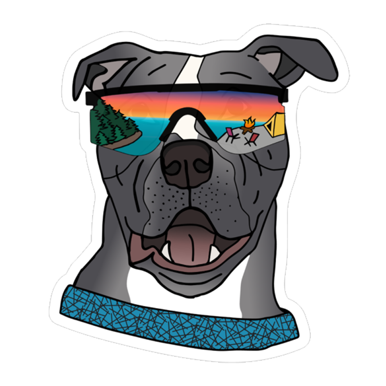 Baloo the Blue Pit bull